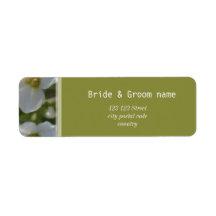 新鮮な白い庭の花の住所 シール。