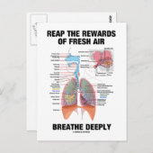 新鮮な空気が深く息づく報酬を得る ポストカード (正面/裏面)