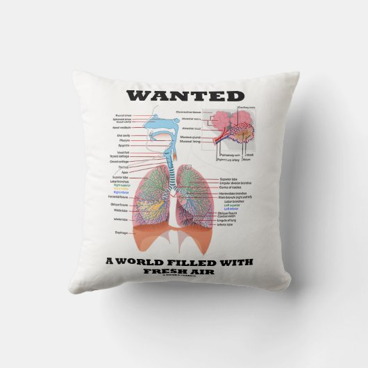 新鮮な空気呼吸器でいっぱいの世界を求めた クッション (裏面)