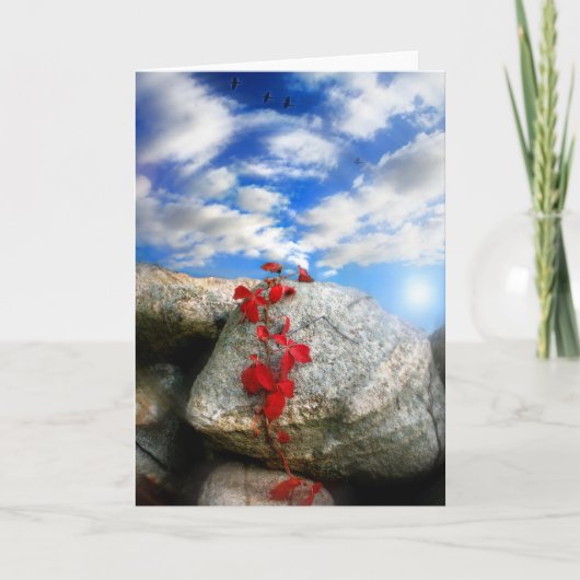 新鮮な空気 カード (正面)