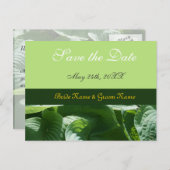 新鮮な緑の日付を保葉つ 案内ポストカード (正面/裏面)