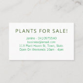 新鮮な緑の白い葉が家で育つ屋内植物 名刺 (裏面)