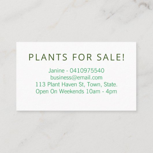 新鮮な緑の白い葉が家で育つ屋内植物 名刺 (裏面)