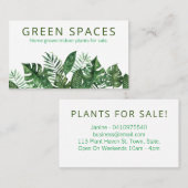 新鮮な緑の白い葉が家で育つ屋内植物 名刺 (正面/裏面)