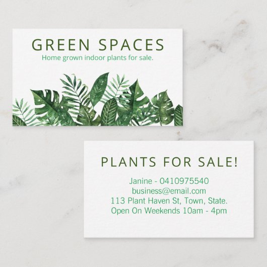 新鮮な緑の白い葉が家で育つ屋内植物 名刺 (正面/裏面)