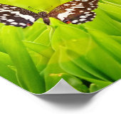 新鮮な緑の草の上に座っている蝶 ポスター (角)