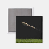 新鮮な緑の草を跳ね上げたカエル マグネット (正面/裏面)