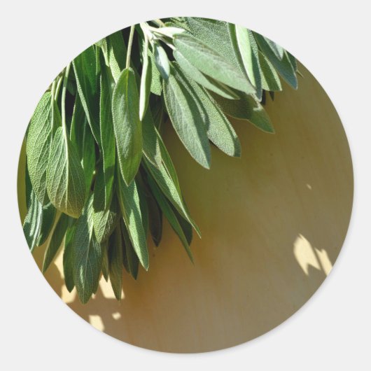 新鮮な聖人 ラウンドシール (正面)