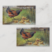 新鮮な自由範囲卵を売り出す 名刺 (正面/裏面)