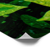 新鮮な葉緑が美しく、非常に自然に見える ポスター (角)