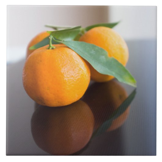 新鮮な蜜柑畑 タイル (正面)