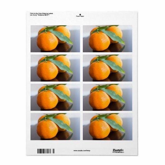 新鮮な蜜柑畑 ラベル (フルシート)