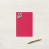 新鮮な魚との友好 ポストイット (デスク上)