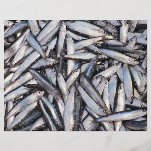 新鮮な魚のキャッチ – 食品成分。 チラシ (正面)