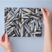 新鮮な魚のキャッチ – 食品成分。 チラシ (手)