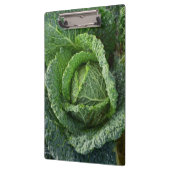 新鮮オーガニックなキャベツ頭 クリップボード (左)