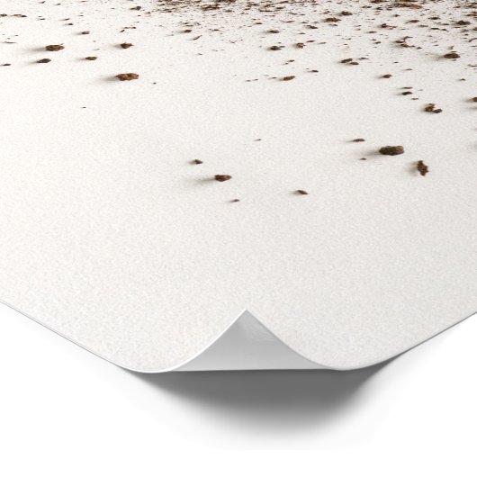 新鮮ニンジン ミニマリスト植物写真 ポスター (角)