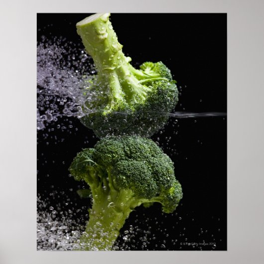 新鮮野菜・食品衛生 ポスター (正面)