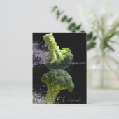 新鮮野菜・食品衛生 ポストカード (スタンド正面)