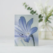 新鮮青の花写真 ポストカード (スタンド正面)