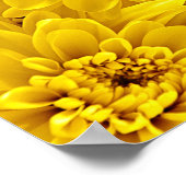 新鮮黄色の花がクローズアップ ポスター (角)