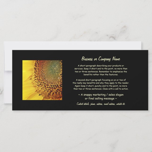 新鮮黄金のひまわり (正面)