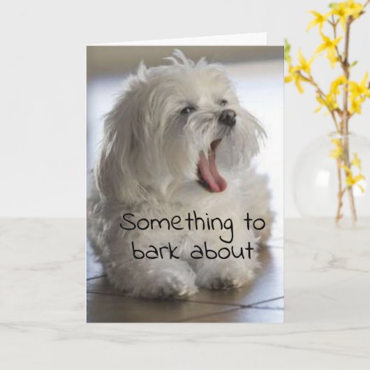 新***仕事***「お祝い」 カード (黄色い花)