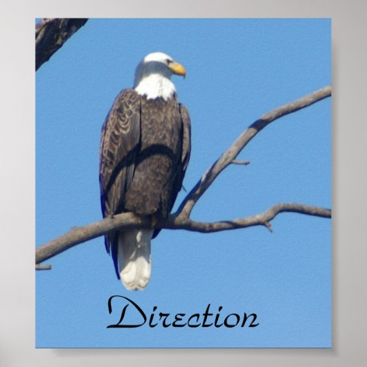 方向ポやる気を起こさせるスタ ポスター (正面)