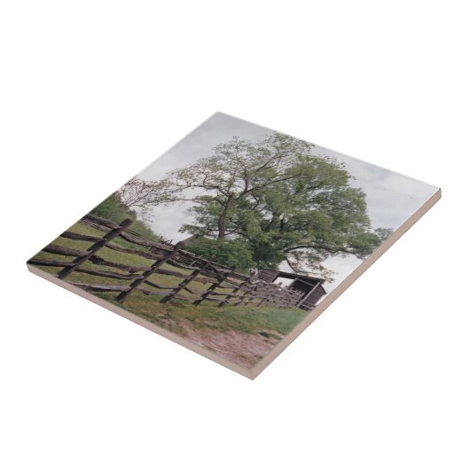 方向 タイル (側面)