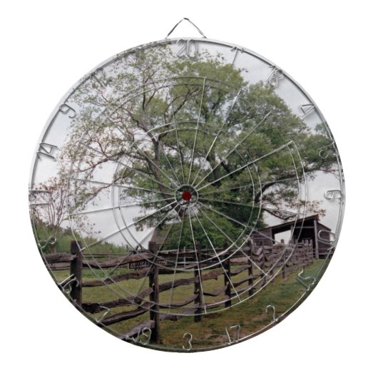 方向 ダーツボード (正面)