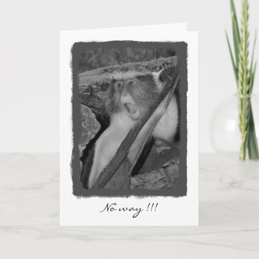 方法無し、誕生日! カード (正面)