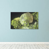 方解石の結晶とMottramite、Tsumeb Mine、Namib キャンバスプリント (インサイチュ (ウッドフロア))