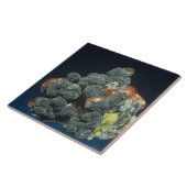 方解石のDescloizite タイル (側面)