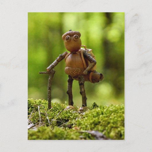 旅の放浪者。サマーキャンプ ポストカード (正面)