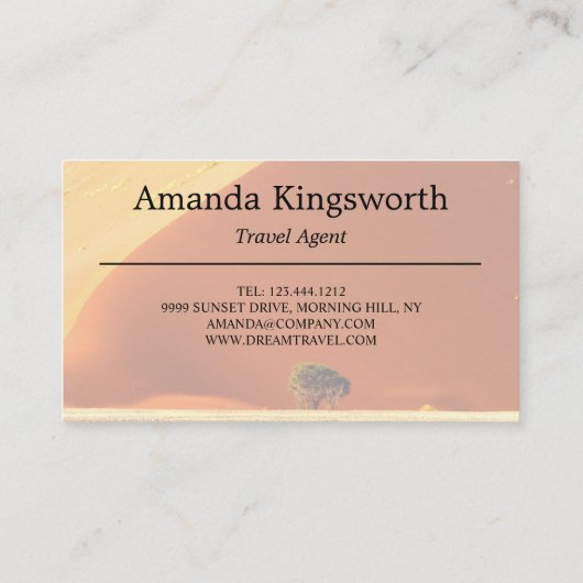 旅モダン行代理店プロフェッショナルアフリカナミビア 名刺 (裏面)