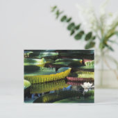 旅行で7枚のポストカードを集める ポストカード (スタンド正面)