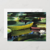 旅行で7枚のポストカードを集める ポストカード (正面/裏面)