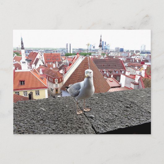 旅行の写真。 エストニア、タリン ポストカード (正面)