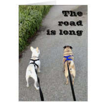 旅行を共有して下さい