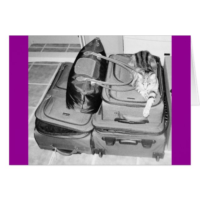 旅行インディゴペンシル (正面横)