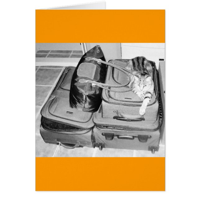 旅行インディゴペンシル (正面)