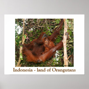旅行オランウータンスの国 ポスター
