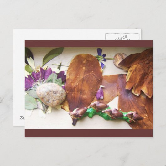 旅行ダックス葉書 ポストカード (正面/裏面)