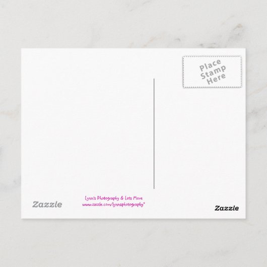 旅行バニー – はがき (裏面)