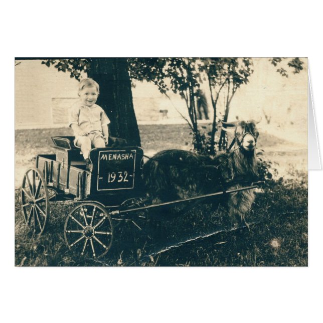 旅行ワゴン (正面横)