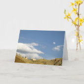 旅行写真の挨拶状 カード (黄色い花)