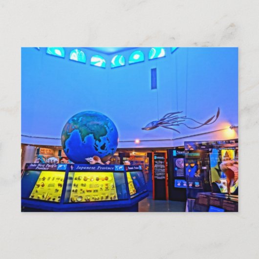 旅行写真サニベル島フロリダシェル ポストカード (正面)