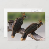 旅行回収はがき10 ポストカード (正面/裏面)