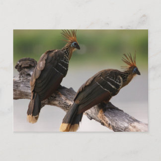 旅行回収はがき10 ポストカード