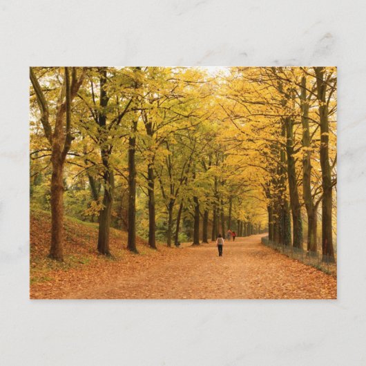 旅行回収はがき28 ポストカード (正面)